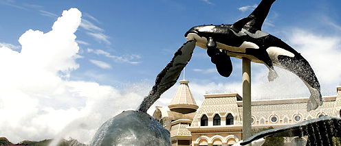 杭州品牌設(shè)計(jì) 只為給您打造“昂貴”的品牌