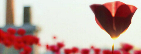 杭州創(chuàng)意海報設(shè)計(jì)公司的禪意美學(xué)