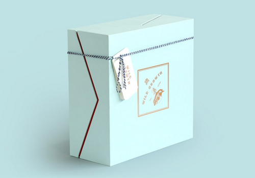 形象包裝設計的重要意義在現代企業發展中的體現