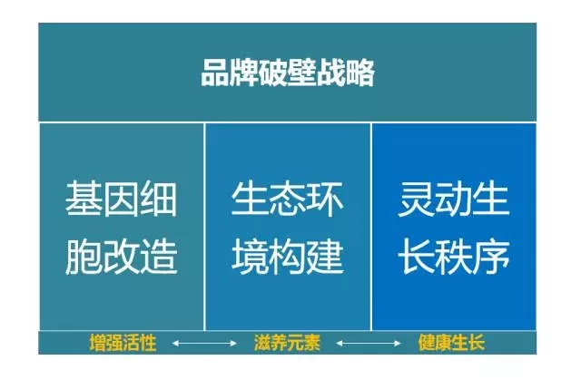 品牌升級必看的四大策略！