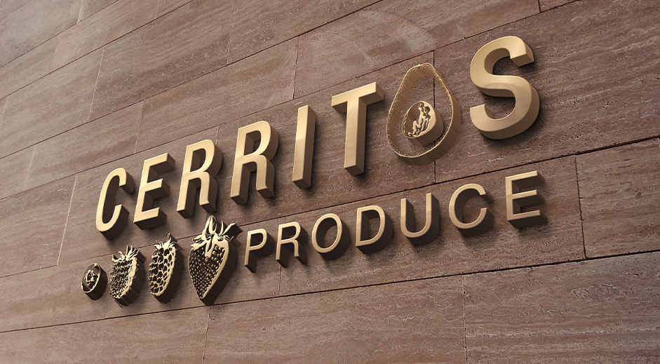 國外優秀VI設計第三十六輯