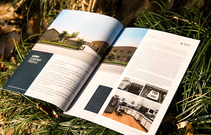 奧運&mdash;&mdash;企業(yè)的營銷平臺