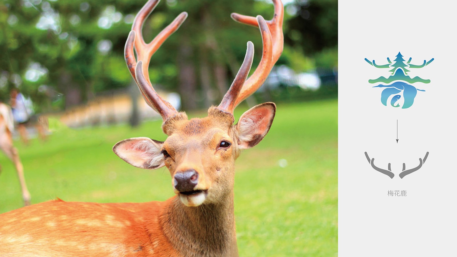 企業(yè)整套vi設計價格值不值?