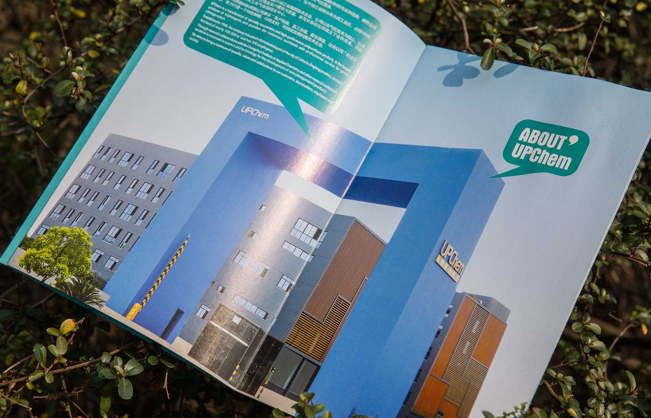 1627720415786876.jpg 19703248.JPG