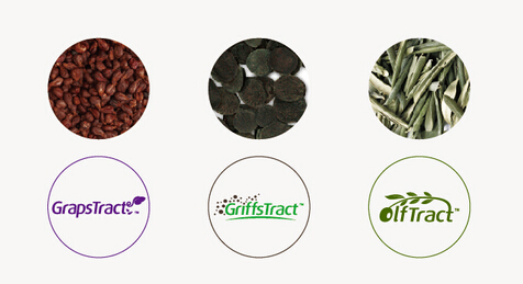 企業(yè)VI設(shè)計公司