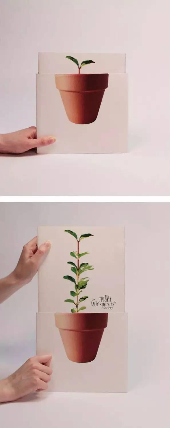 創(chuàng)意宣傳冊設計-2