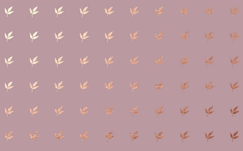 為了博得美人一笑，甜品包裝也是拼了……