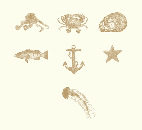 學校周邊海鮮酒吧餐廳品牌包裝設計