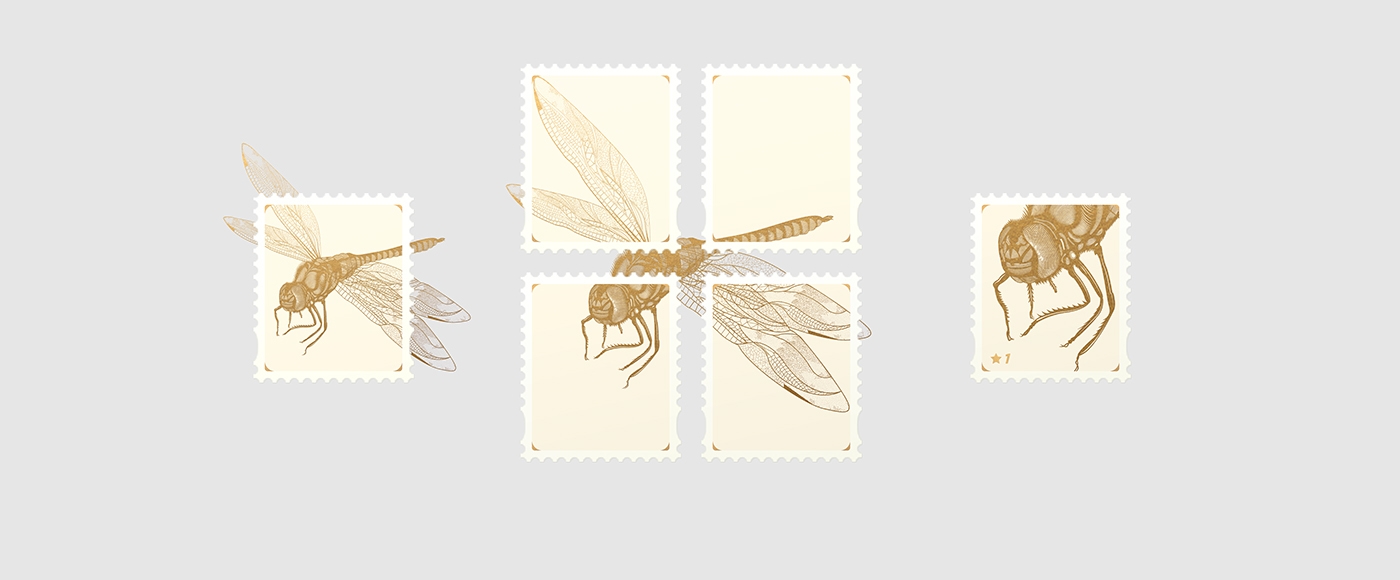 大自然的奇跡，蜻蜓主題的咖啡品牌包裝設計