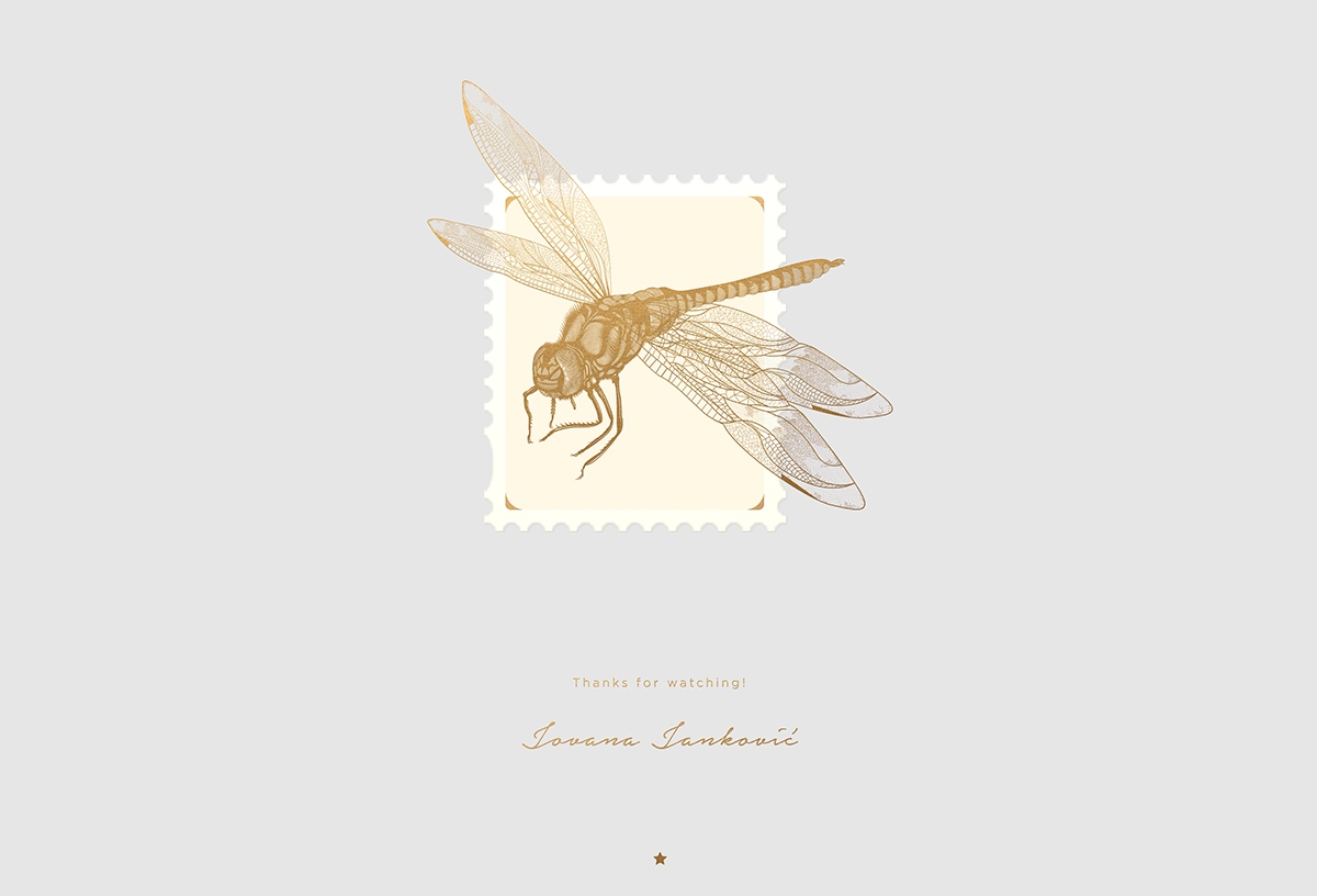 大自然的奇跡，蜻蜓主題的咖啡品牌包裝設計